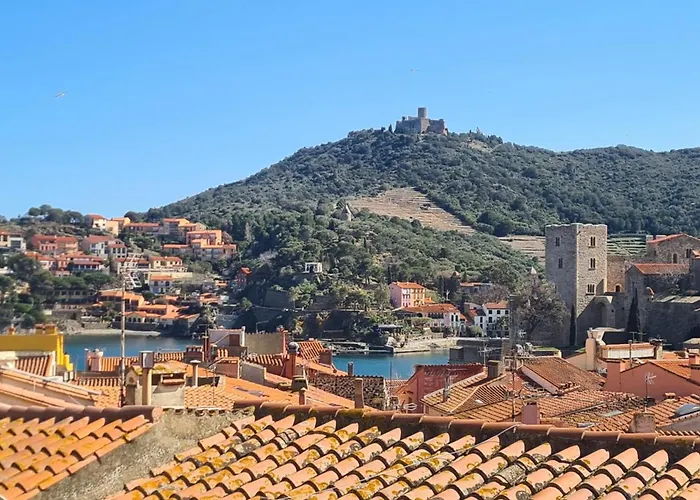 Maison T3 Renovee A Collioure, 2 Chambres, Balcon - Fr-1-309-457 別荘