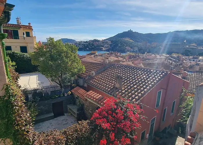Maison T3 Renovee A Collioure, 2 Chambres, Balcon - Fr-1-309-457 コリウール